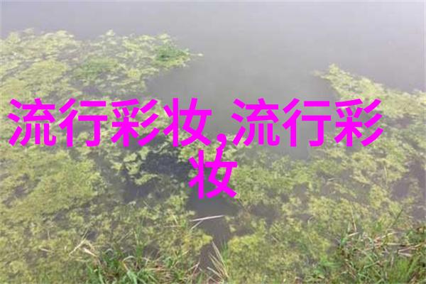 明星的脸上是用什么化妆品如何才能花出完美的状