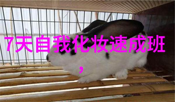 眼影到底画多高才好看眼影涂在什么位置